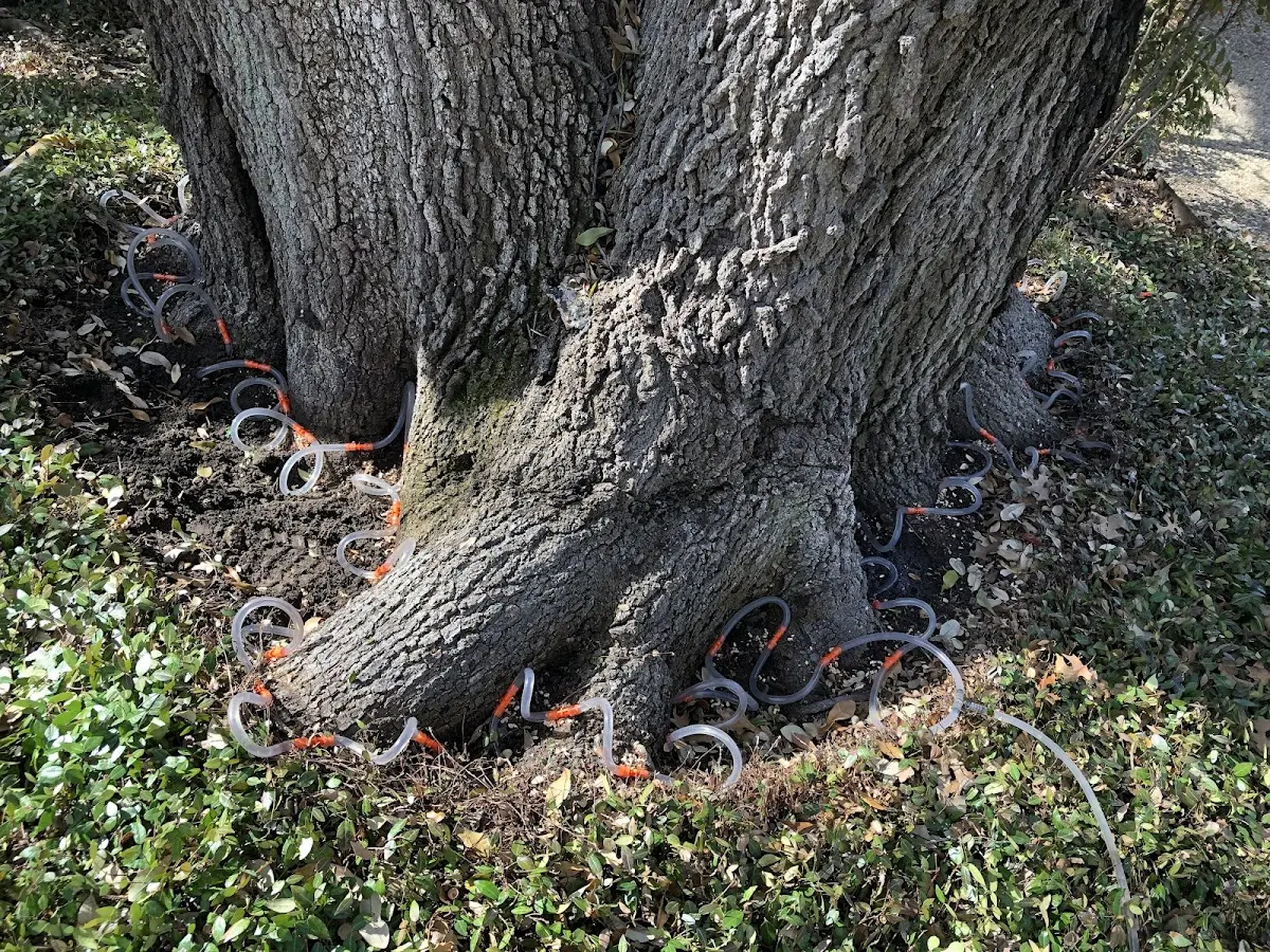 Detailed Shrub and Hedge Trimming job site in Grass Lake