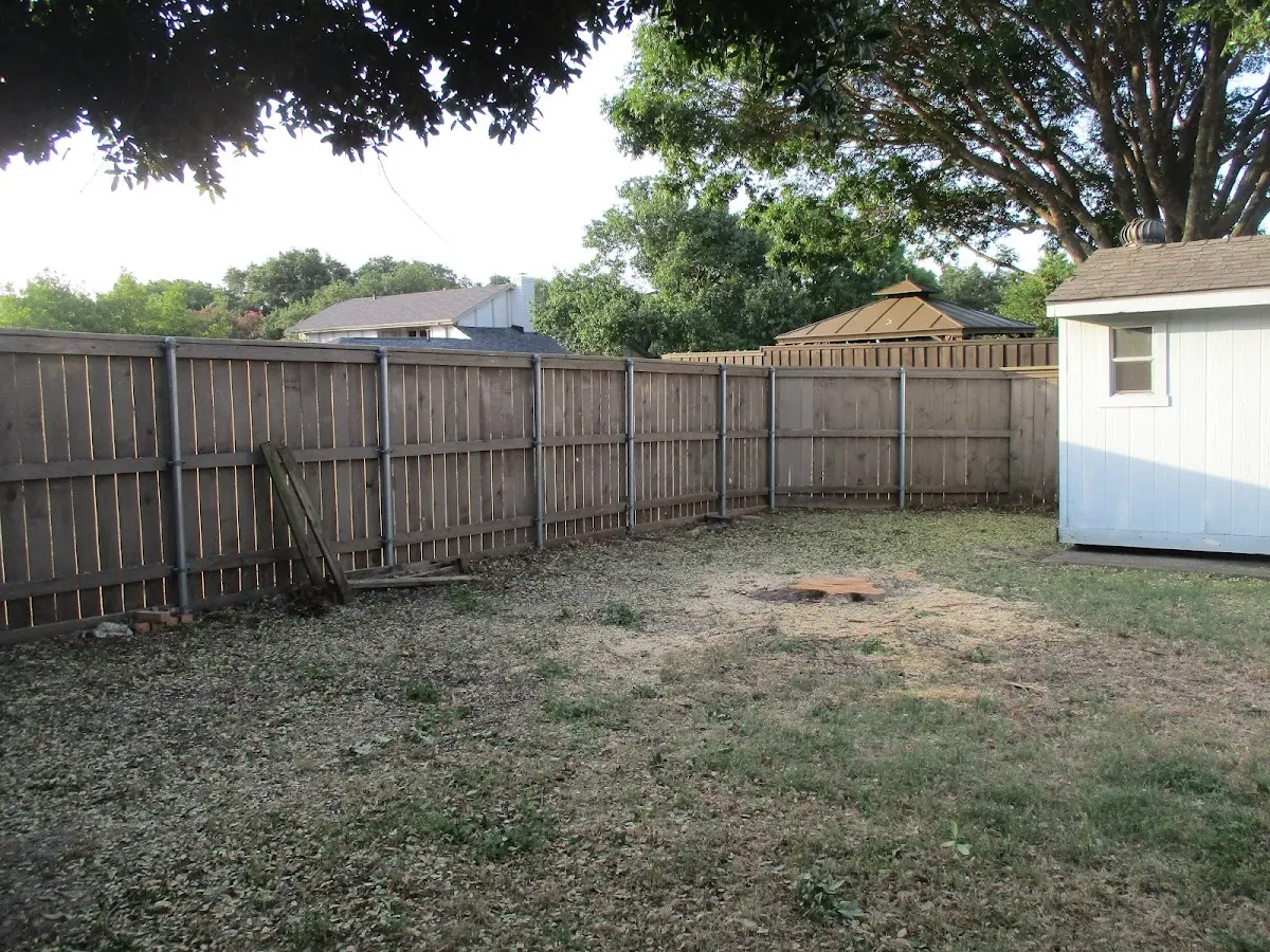 Cleared yard after professional tree removal in Grass Lake