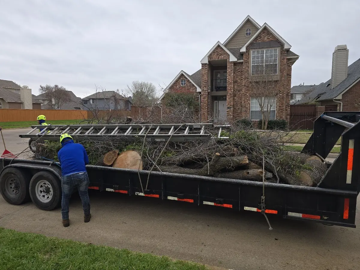 Expert Tree Removal with proper safety equipment in Grass Lake